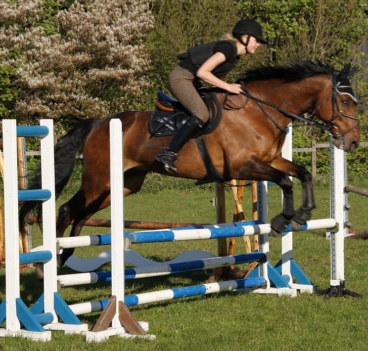 Anden særlig race Djenkiss <'3  - Weeeeeee xD billede 7