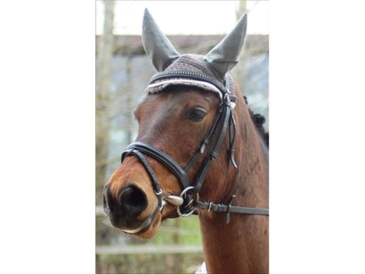 {{currentPhoto.altText}} billede {{currentPhoto.number}}