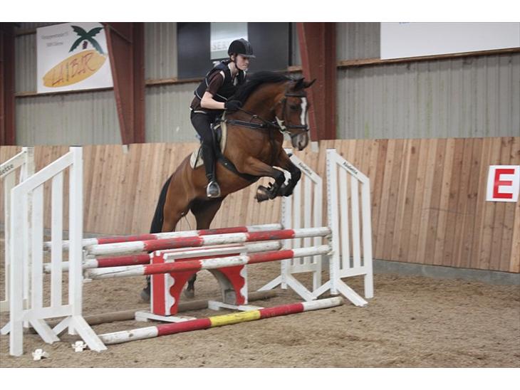 {{currentPhoto.altText}} billede {{currentPhoto.number}}