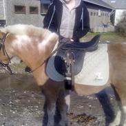 Anden særlig race Pondus <'3