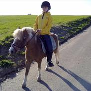 Anden særlig race Pondus <'3