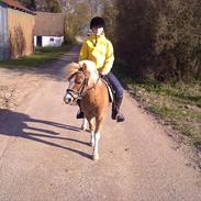 Anden særlig race Pondus <'3