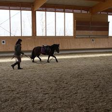 Anden særlig race Jamila 