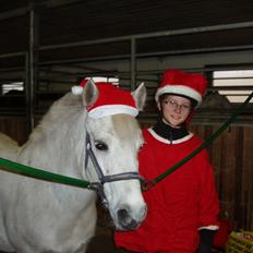 Anden særlig race Lotte