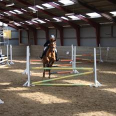 New Forest Hamilton<3( Ikk mere :´( 