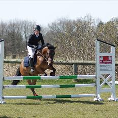 Anden særlig race Athos 