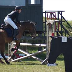 Anden særlig race Athos 