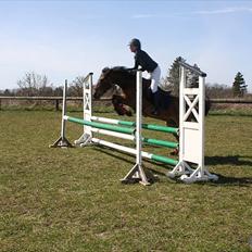 Anden særlig race Athos 