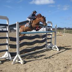 Anden særlig race Pigpaks