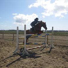 Anden særlig race Pigpaks