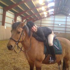 Anden særlig race Fredlyen`s Tulle<3(Red)