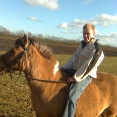 Anden særlig race Fredlyen`s Tulle<3(Red)
