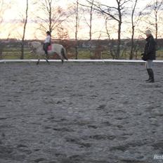 Fjordhest logo vinstrup