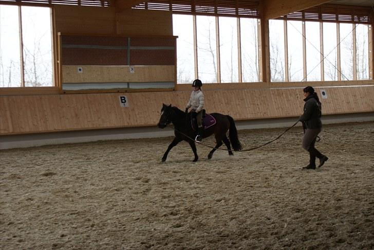 Anden særlig race Jamila  billede 4