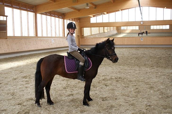 Anden særlig race Jamila  - Smuk ekvipage! billede 6