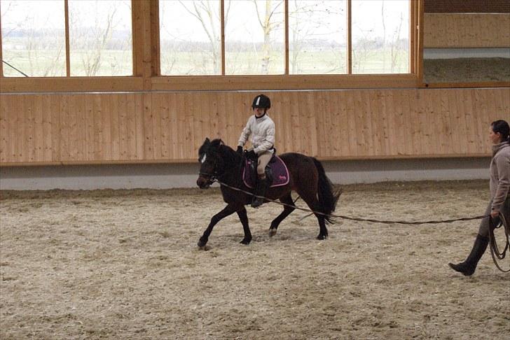 Anden særlig race Jamila  - Fantastisk at en 10-årig pige kan ride en pony til.. Det fortæller hvis oss bare hvor sød hun er. billede 12