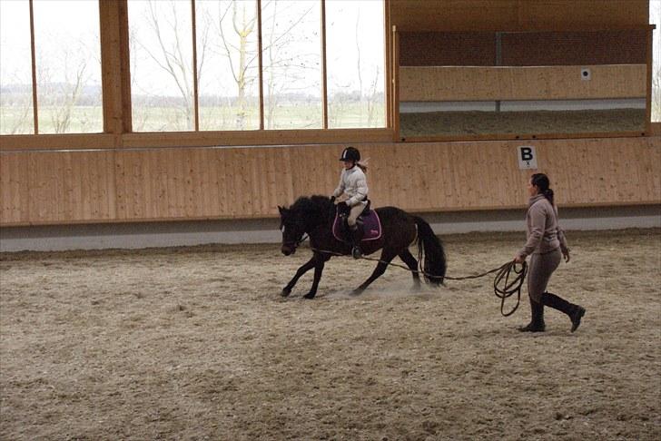 Anden særlig race Jamila  - Hun skal dog stadig hjælpes lidt igang. :) billede 13