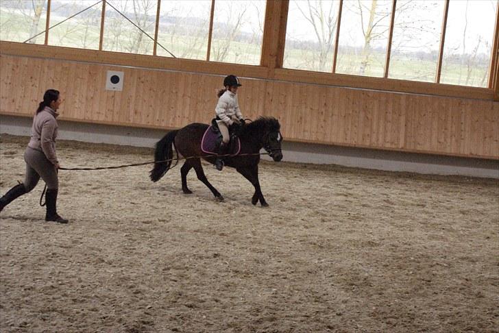 Anden særlig race Jamila  billede 14