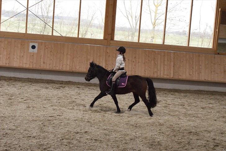 Anden særlig race Jamila  billede 16