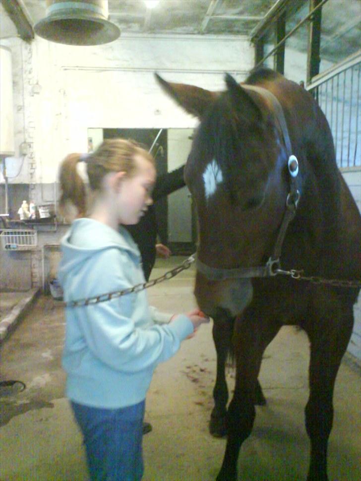 Traver Robin Faust - Robin og mig :D Foto: Mor
 billede 8