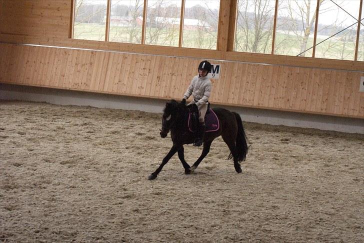 Anden særlig race Jamila  billede 17