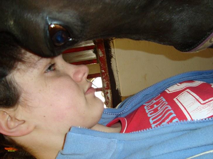 Anden særlig race My Friend - ELSKER MIN LILLE DRENG<3 billede 2