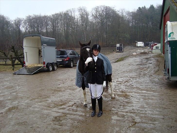 Anden særlig race My Friend - før stævnet billede 4