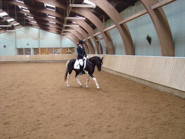 Anden særlig race My Friend - vammer op billede 6