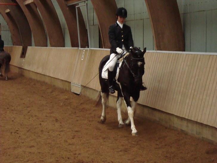 Anden særlig race My Friend - mere opvamning billede 7