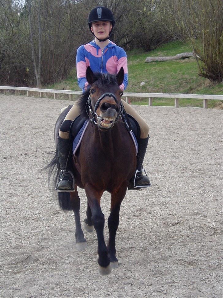 Anden særlig race Jasmin<3 SOLGT - EFTERLYST !!! - nåår elsker diig min lille sminne  billede 11