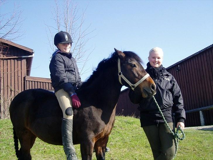 Anden særlig race Jasmin<3 SOLGT - EFTERLYST !!! - Velkommen til Jasmins profil læg en kommentar og en bedømmelse;) billede 1