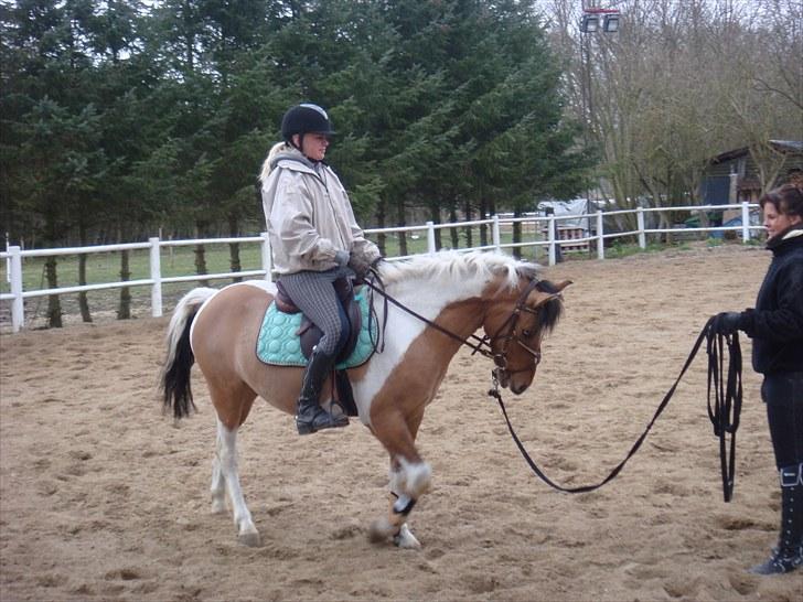 Anden særlig race Topper (SOLGT) - 2 gang med rytter :D billede 14