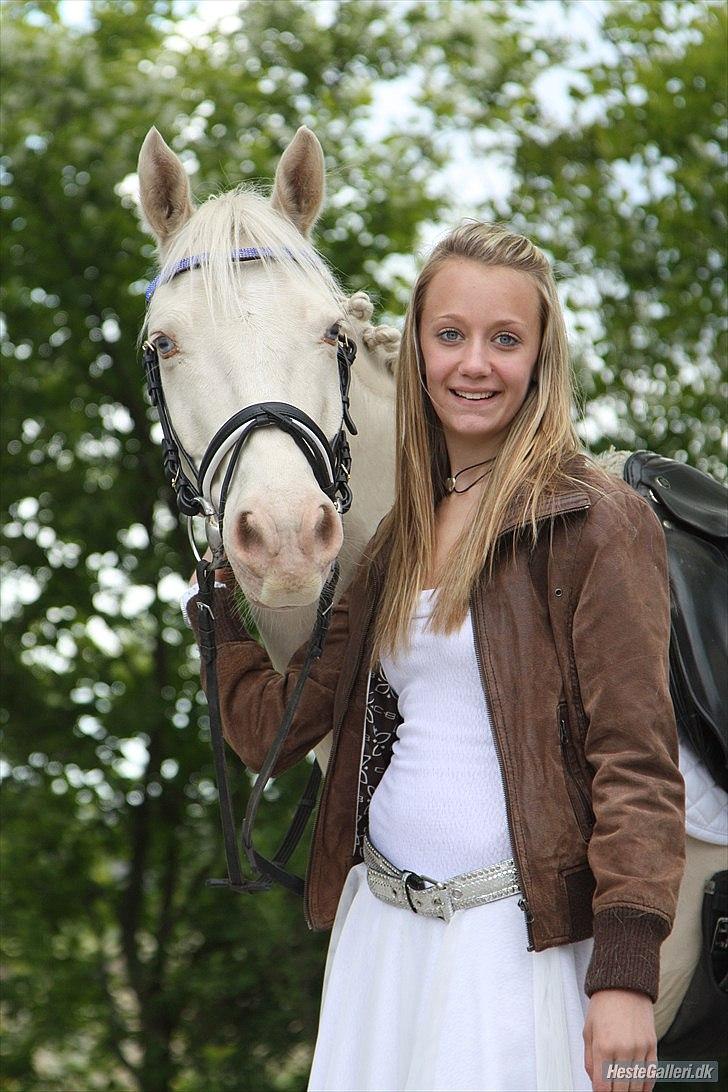 Palomino Atreju ***SOLGT*** - fotograf: Sofie Lambæk Krog(-: fra min konfirmation<3 billede 4