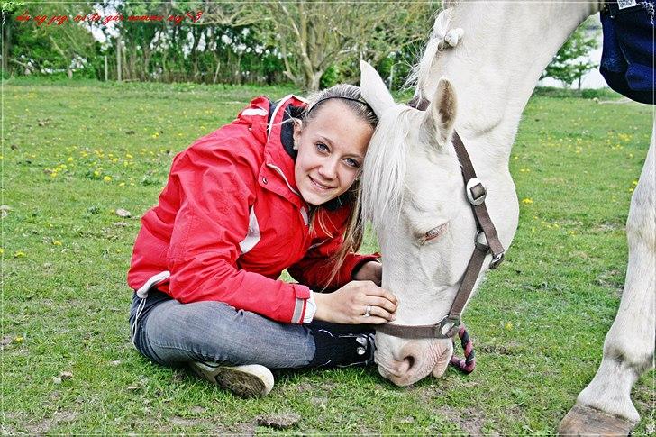 Palomino Atreju ***SOLGT*** - <3<3),: billede 15