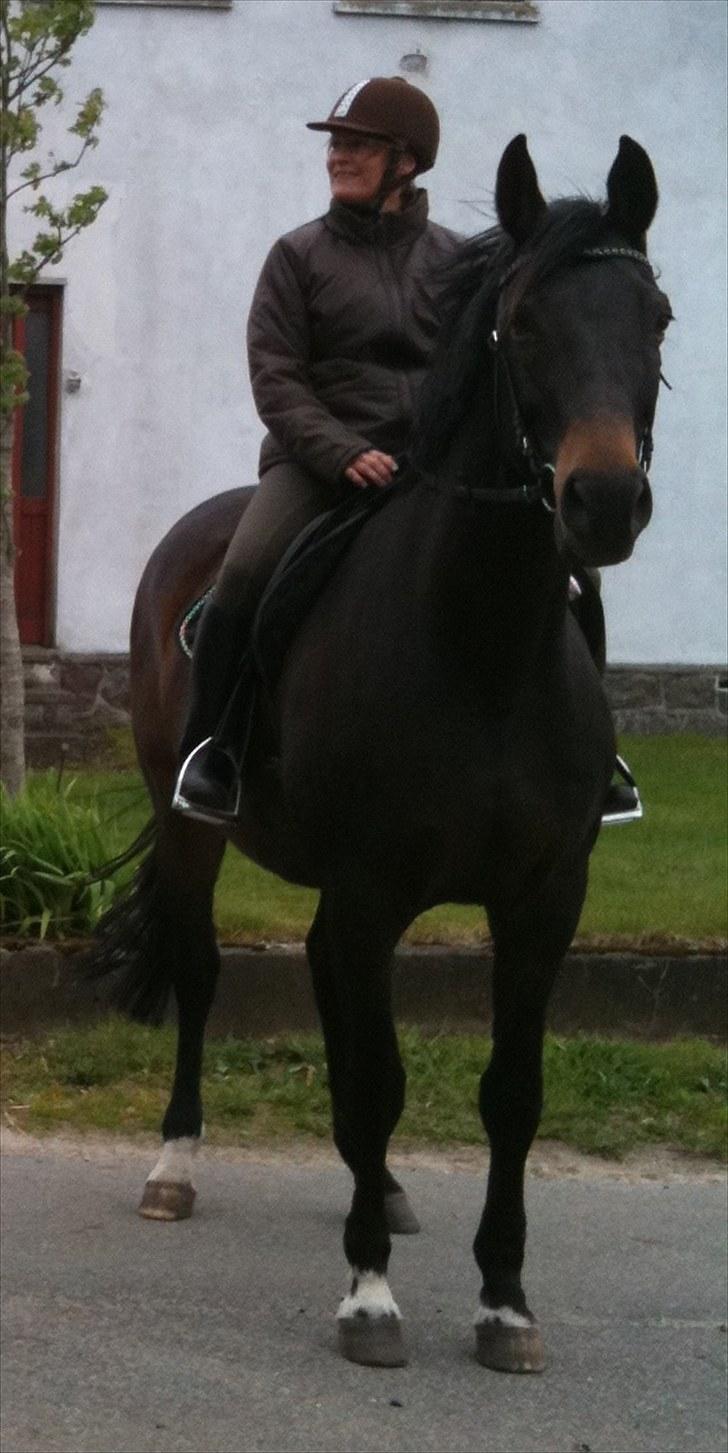 Dansk Varmblod Anita mors hest  - ja mig og min tøs billede 15