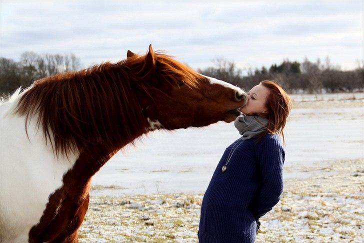 Pinto Martell <3 - Tidl. part. - Kyskys. <3 | Fotograf: Charlotte Graversgaard | billede 16