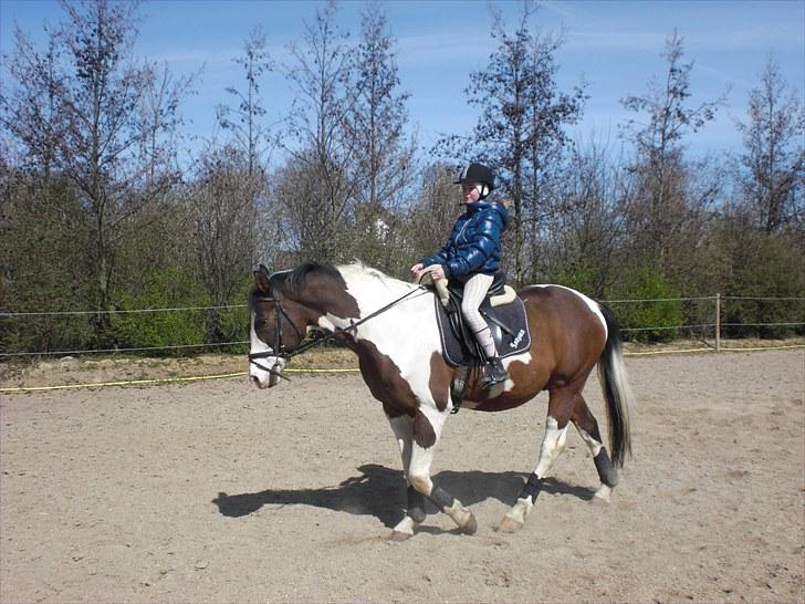 Pinto | Iszpan. billede 19