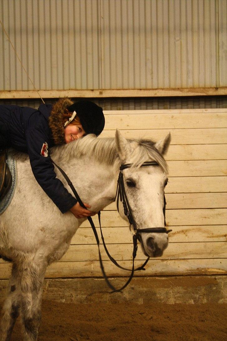 Anden særlig race Gordon •Fortid;(• SAVNET! - 16) Mig&Gordon rider passerridning<3 Jeg elsker dig :D GOI<3 Foto: OM©<3 billede 15