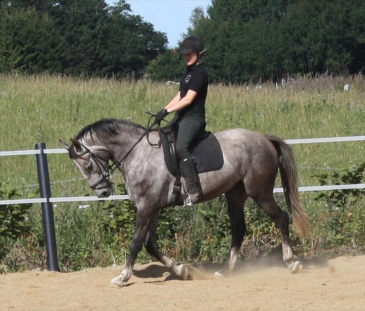 Anden særlig race Zera - sept. 2010 billede 18