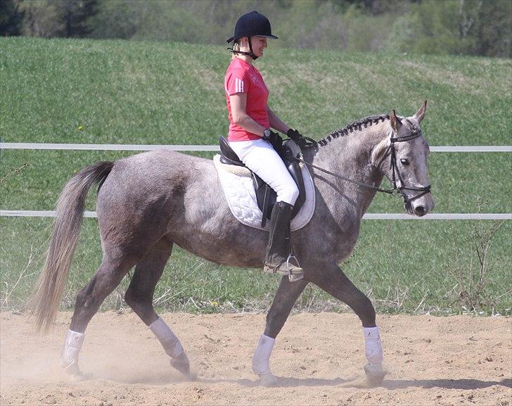 Anden særlig race Zera - april 2011 billede 19