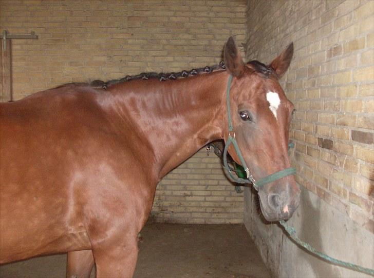 Traver Heather Wild Solgt billede 1