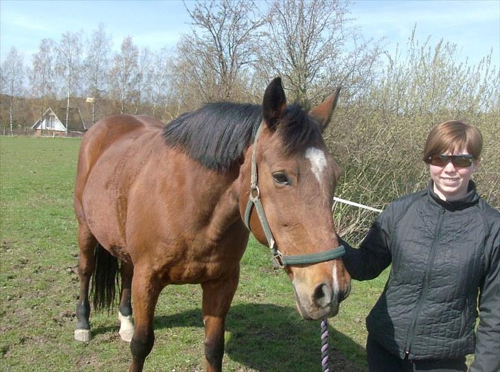 Traver Heather Wild Solgt - Da vi hentede hende på folden ved gamle ejer, her står hende gamle rytter med hende billede 2