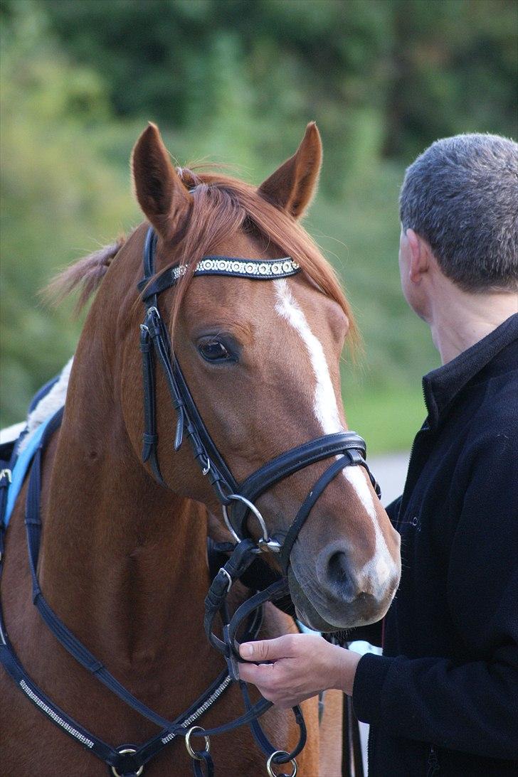 Tysk Sportspony El Samba N<3 SOLGT d. 3/12-11 - Lige et snab-shot billed af min far(Der kigger den anden vej ;P)& Tulle<3 billede 12