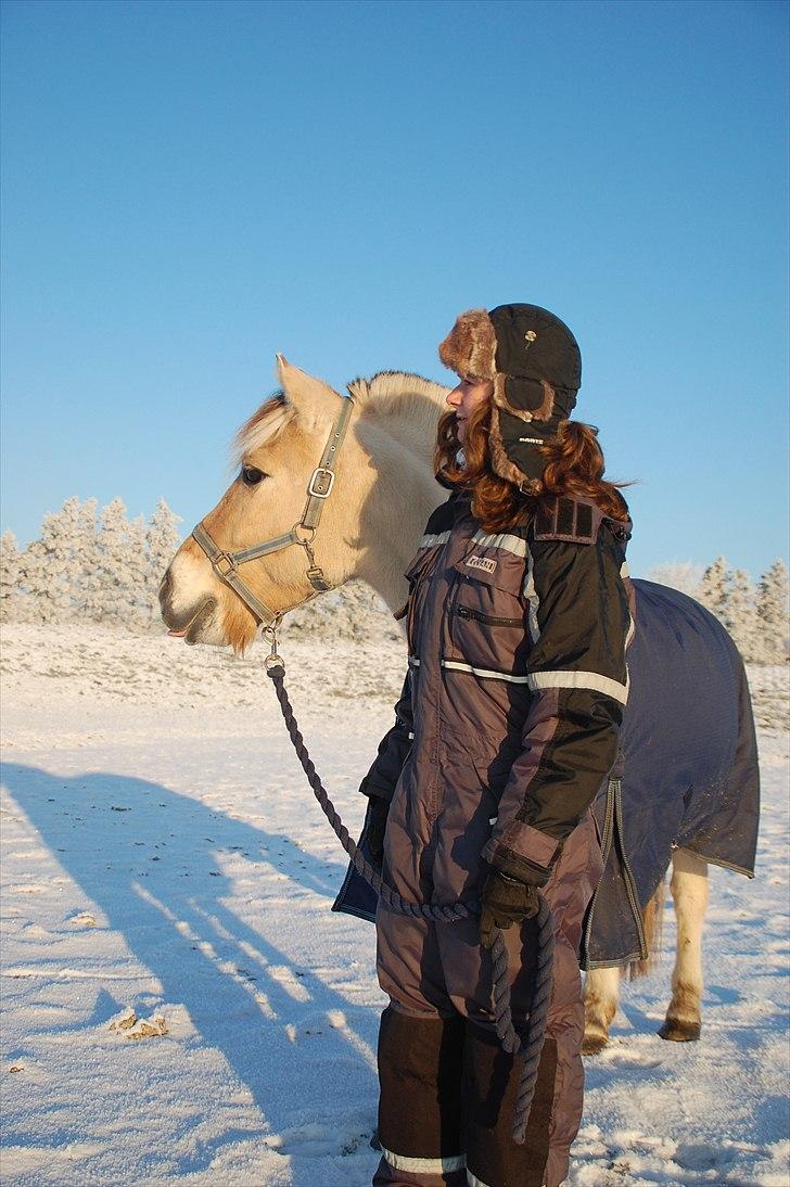 Fjordhest Imbert Fulgsang - 9» Vinter billede af mig og Imbert :) vi holder øje med en lastbil ;) jeg elsker den blåfarve på himlen! den 22 december 2010, Foto af Ninna Philipsen.  billede 8