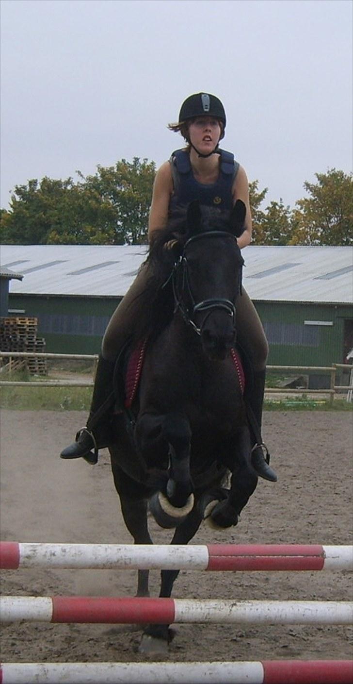 Frieser Willemientje Von De - Carina springer på Willemientje sensommer 2009 billede 13