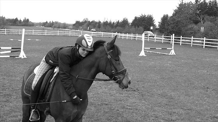 New Forest My Fair Turbo "Kesse" - lad det forblive sådan forevigt! billede 6