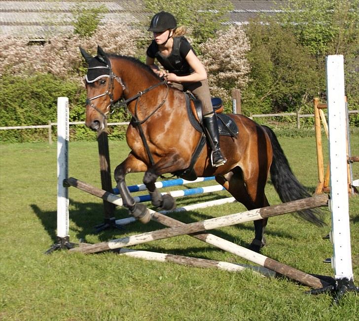 Anden særlig race Djenkiss <'3  - Vi elsker virkelig at springe :D billede 10