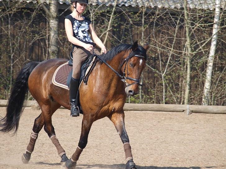 Anden særlig race Djenkiss <'3  - Weeeeeee xD billede 13