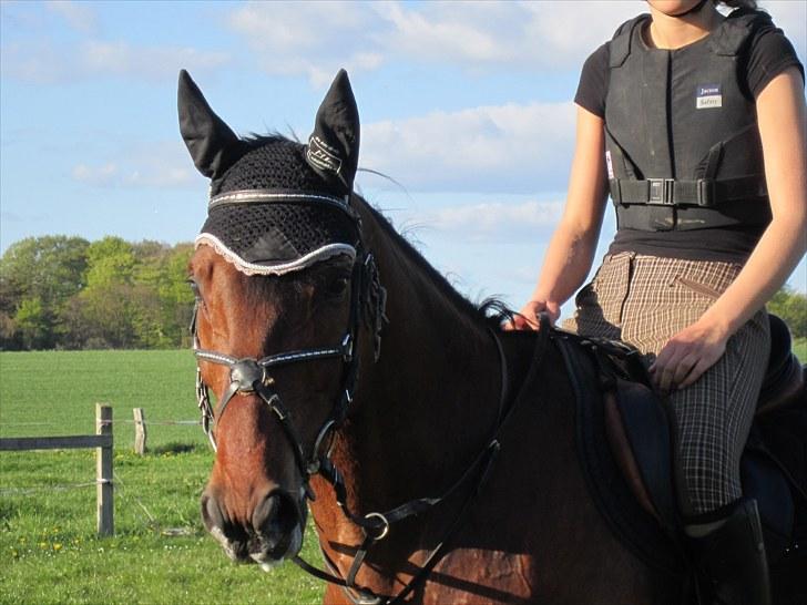 Anden særlig race Djenkiss <'3  - Og dejlig? :D billede 16