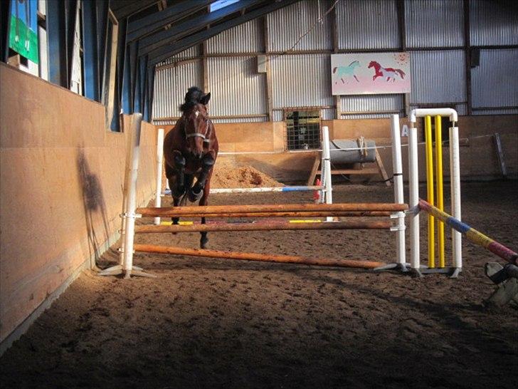 Anden særlig race Djenkiss <'3  - Jeg elsker dig min skat <3 billede 17